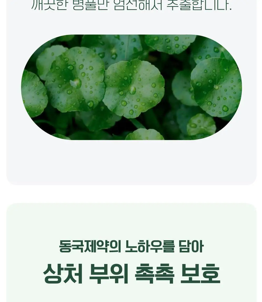 [단독기획] 마데카 메디패치 스팟패치 (33매/99매) 상세페이지 12